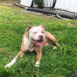 Meet your Posher, Mario